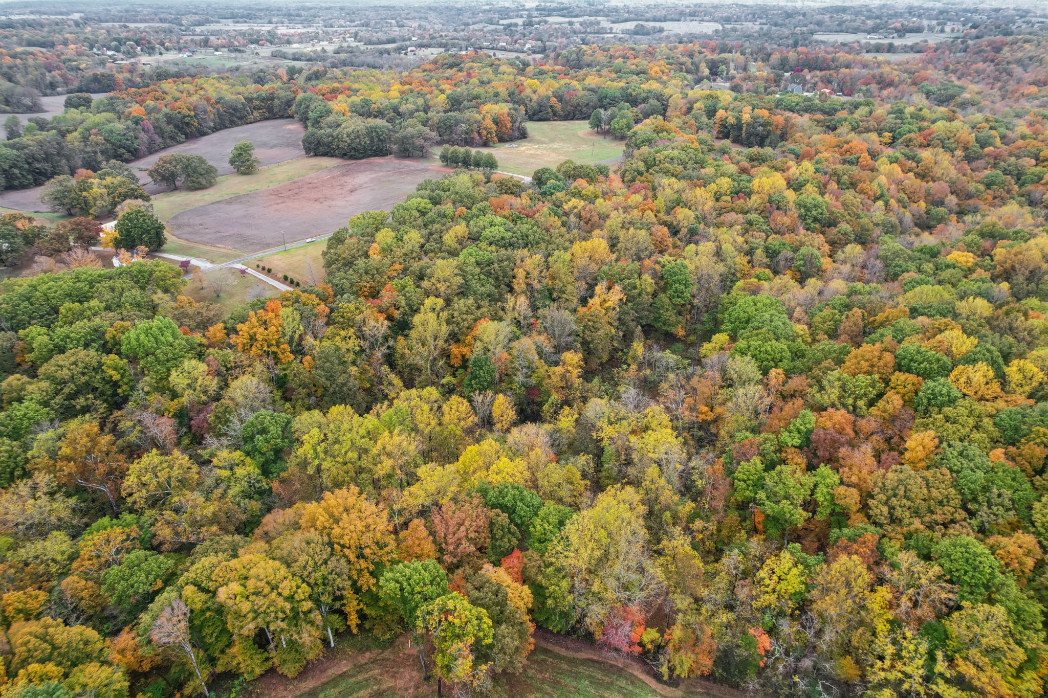 0 Henry Gower Road Pleasant View, TN 37146 - Photo 14 of 22