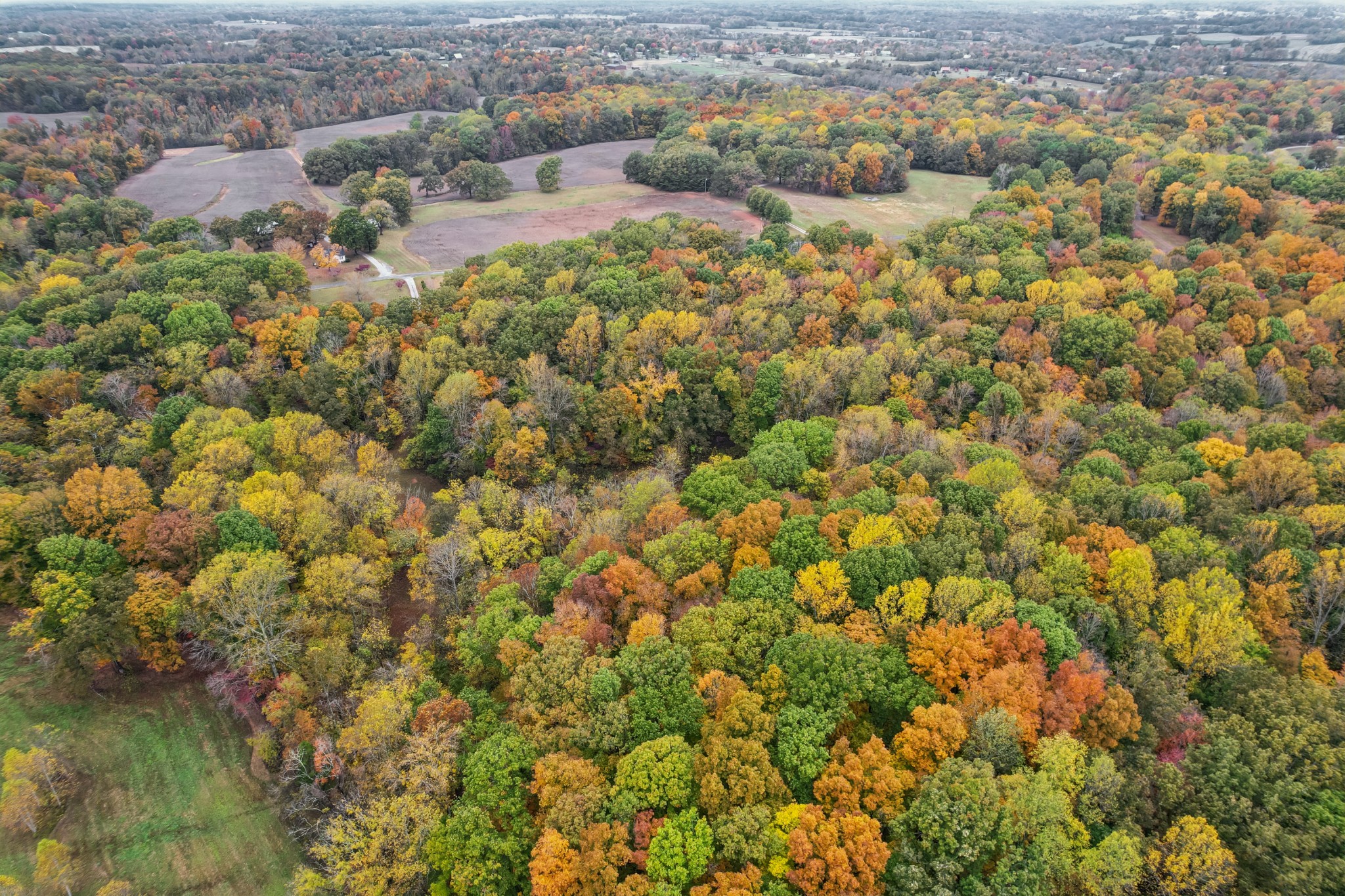0 Henry Gower Road Pleasant View, TN 37146 - Photo 15 of 22