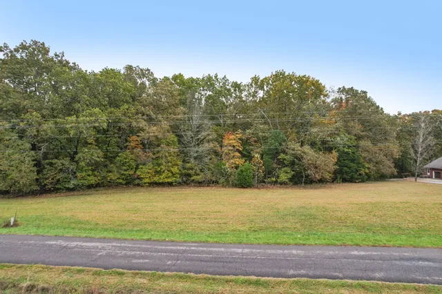 a view of a yard with a house in the background