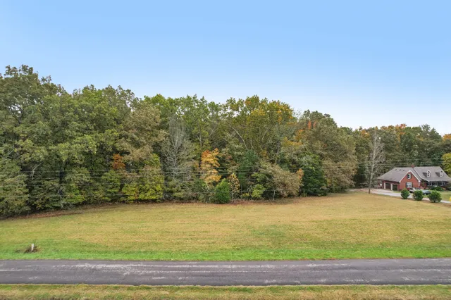 a view of a yard with an outdoor space