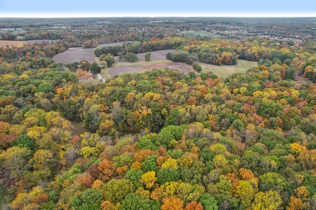 an aerial view of residential houses with outdoor space and trees