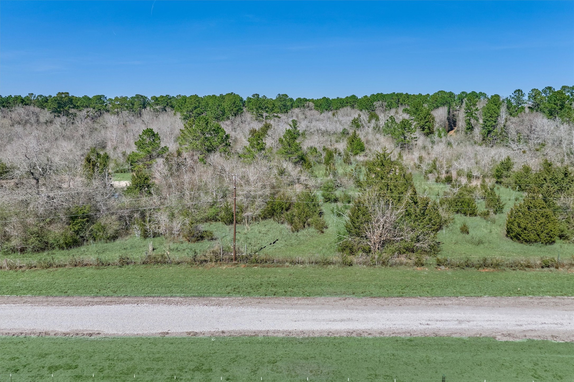 0 Piney Point Road Huntsville, TX 77340 - Photo 9 of 9 a view of a yard with a forest