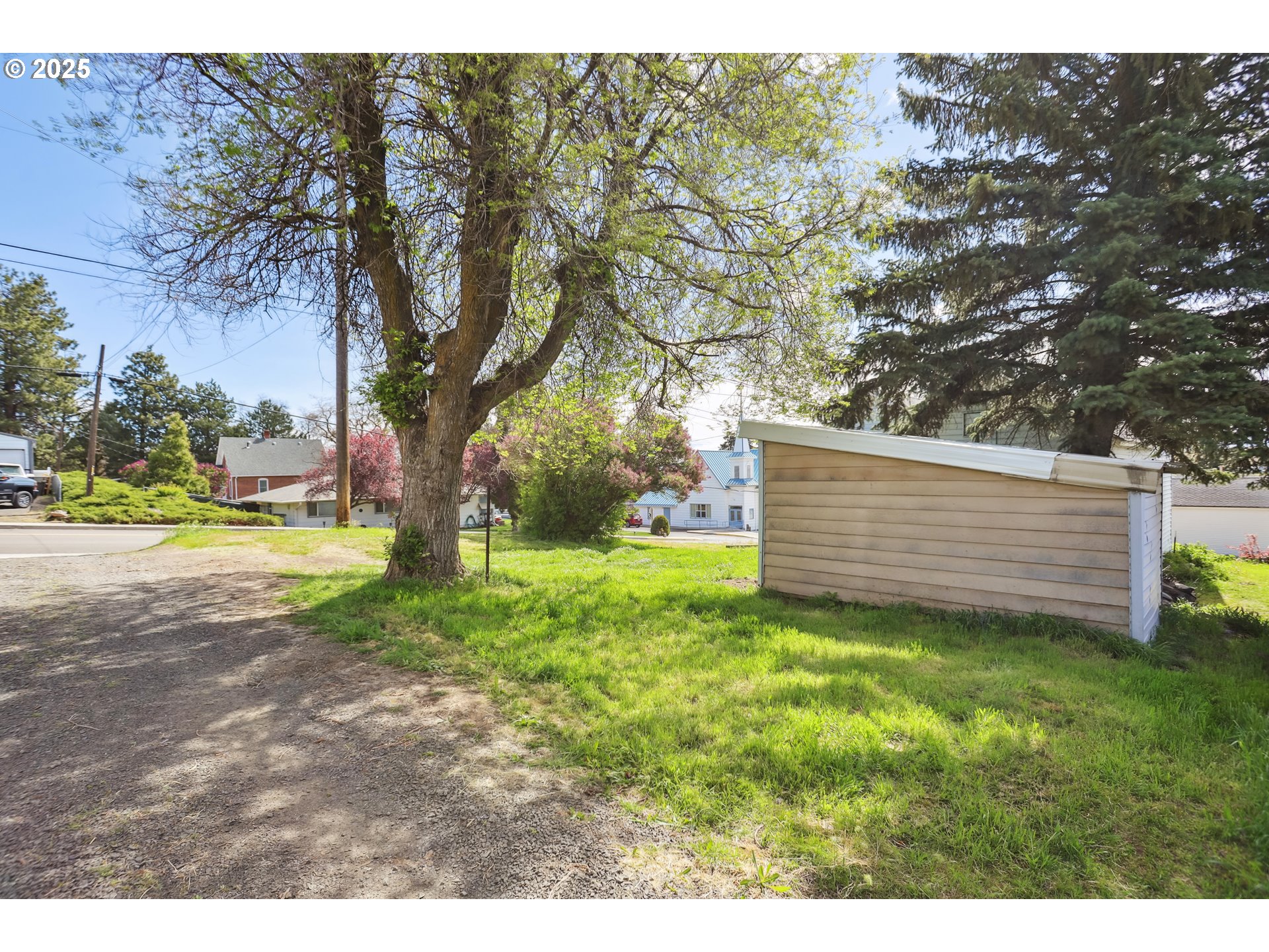 400 Mc Coy Street Moro, OR 97039 - Photo 10 of 33 a view of a backyard with large trees