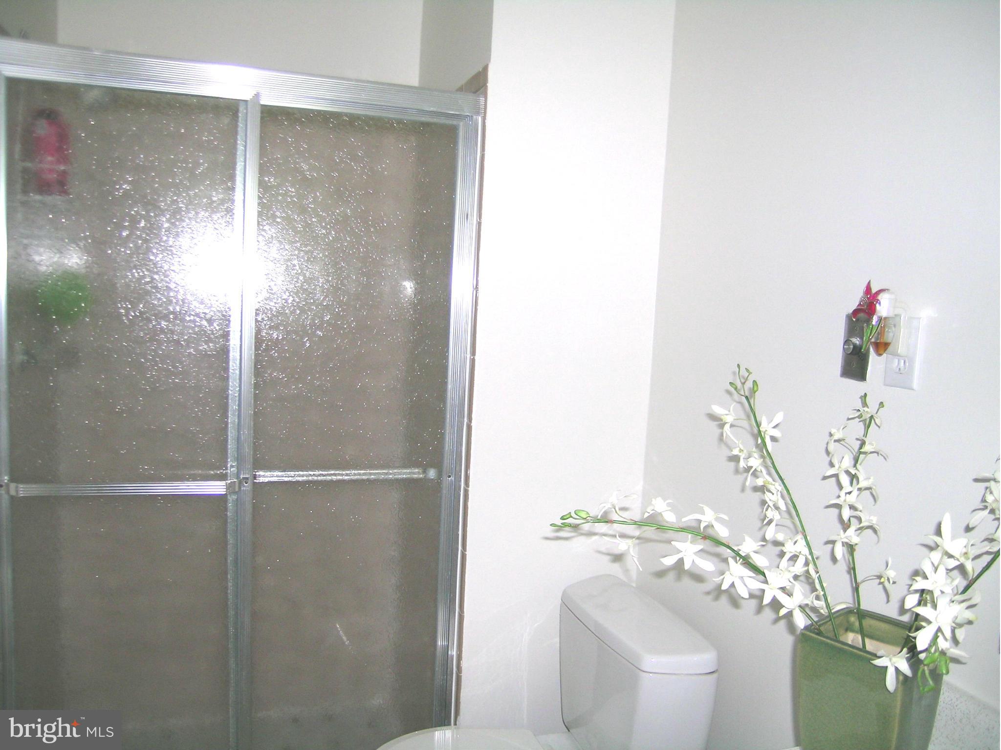 2715 Weller Road Silver Spring, MD 20906 - Photo 10 of 25 Walk-in Shower