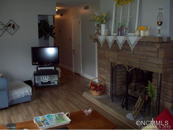 181 Little Creek Road Clyde, NC 28721 - Photo 6 of 20