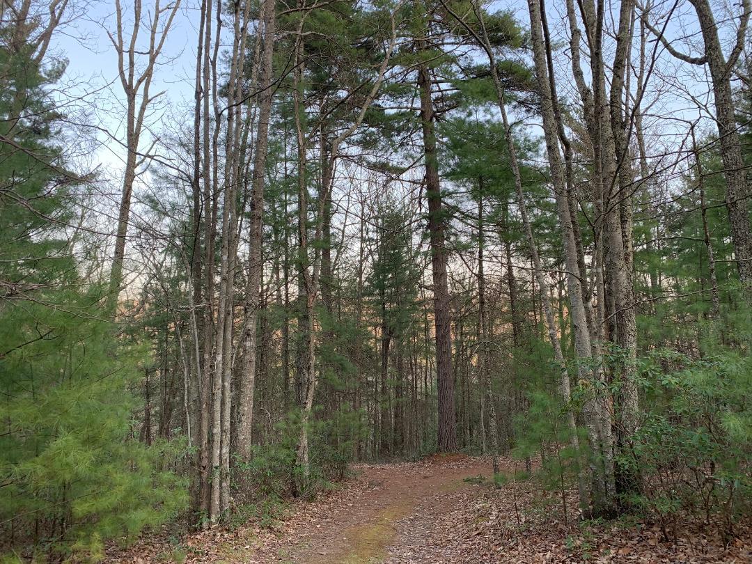 138 Deer Run Road Gap Mills, WV 24941 - Photo 29 of 32 Gallery Image 29