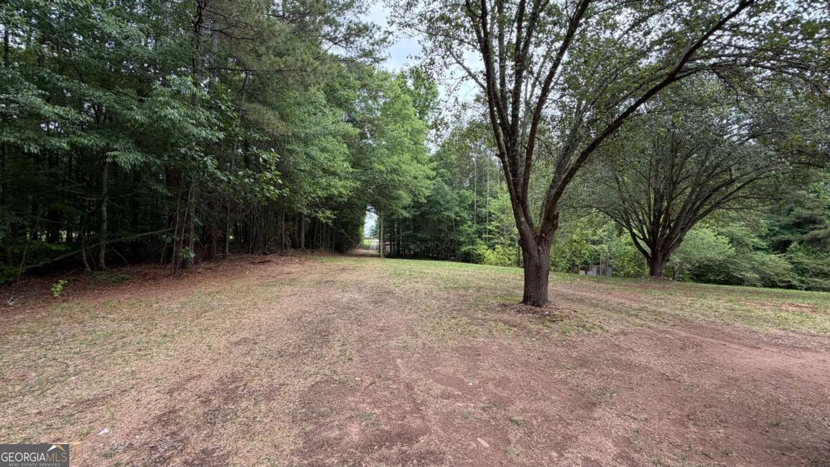 1646 Sandy Flat Road Bowdon, GA 30108 - Photo 46 of 46