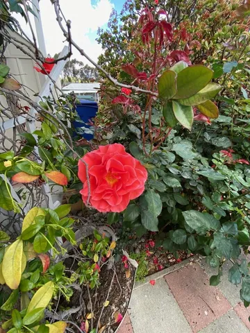 $275,000 | 1815 Sweetwater Road, Unit 155, Spring Valley, CA 91977