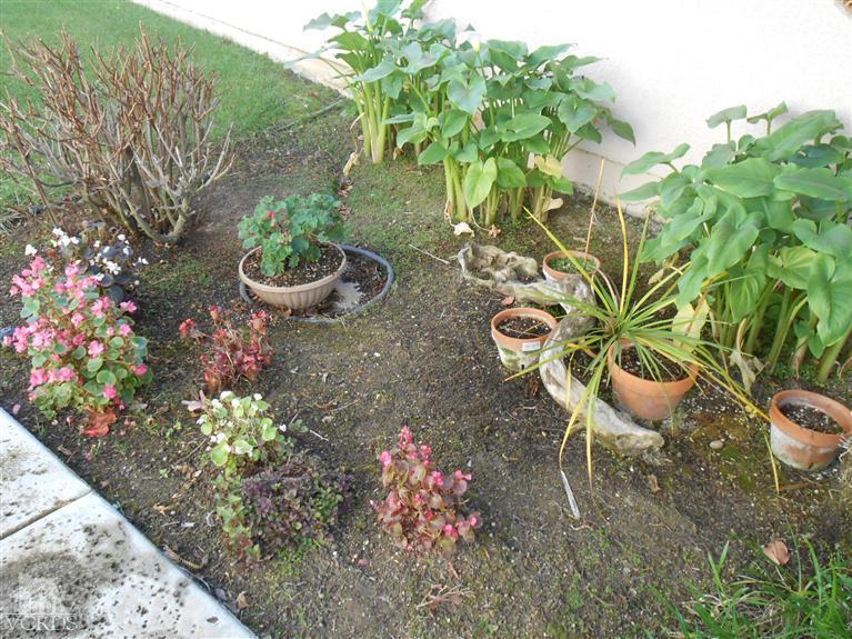 2186 Eastridge Loop Oxnard, CA 93036 - Photo 6 of 37 Additional Photo