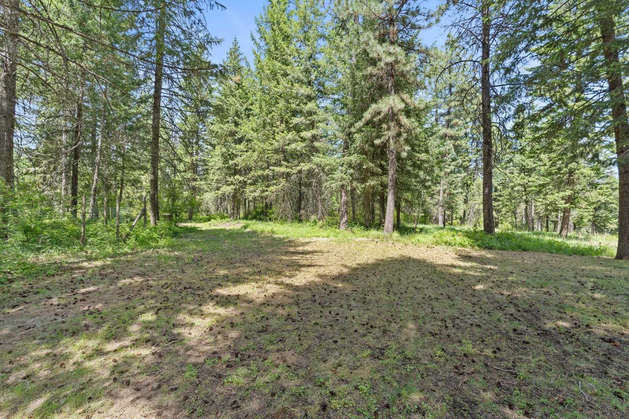 42816 North Division Road Deer Park, WA 99006 - Photo 39 of 45 Gallery Image 39