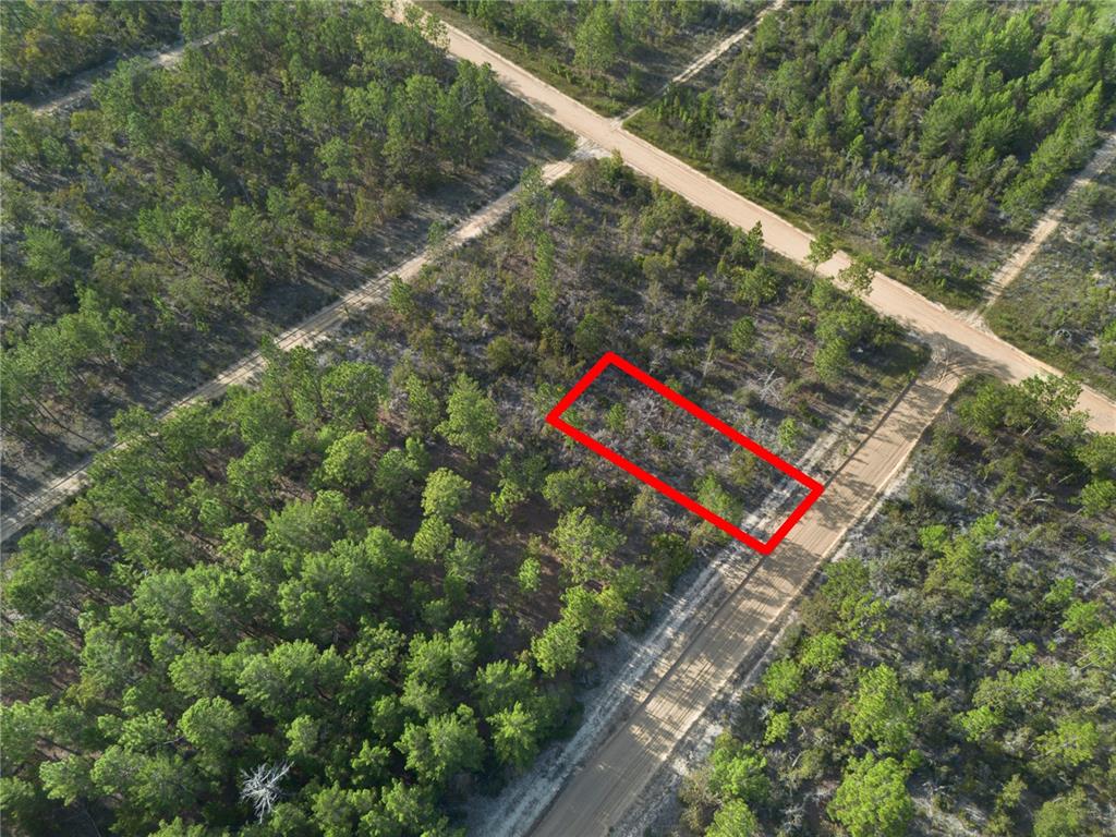 359 Dothan Street Interlachen, FL 32148 - Photo 2 of 8