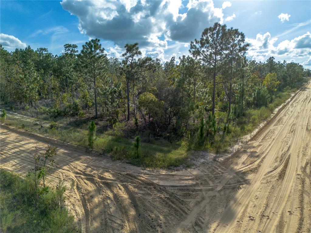 359 Dothan Street Interlachen, FL 32148 - Photo 3 of 8 a view of a road from a yard