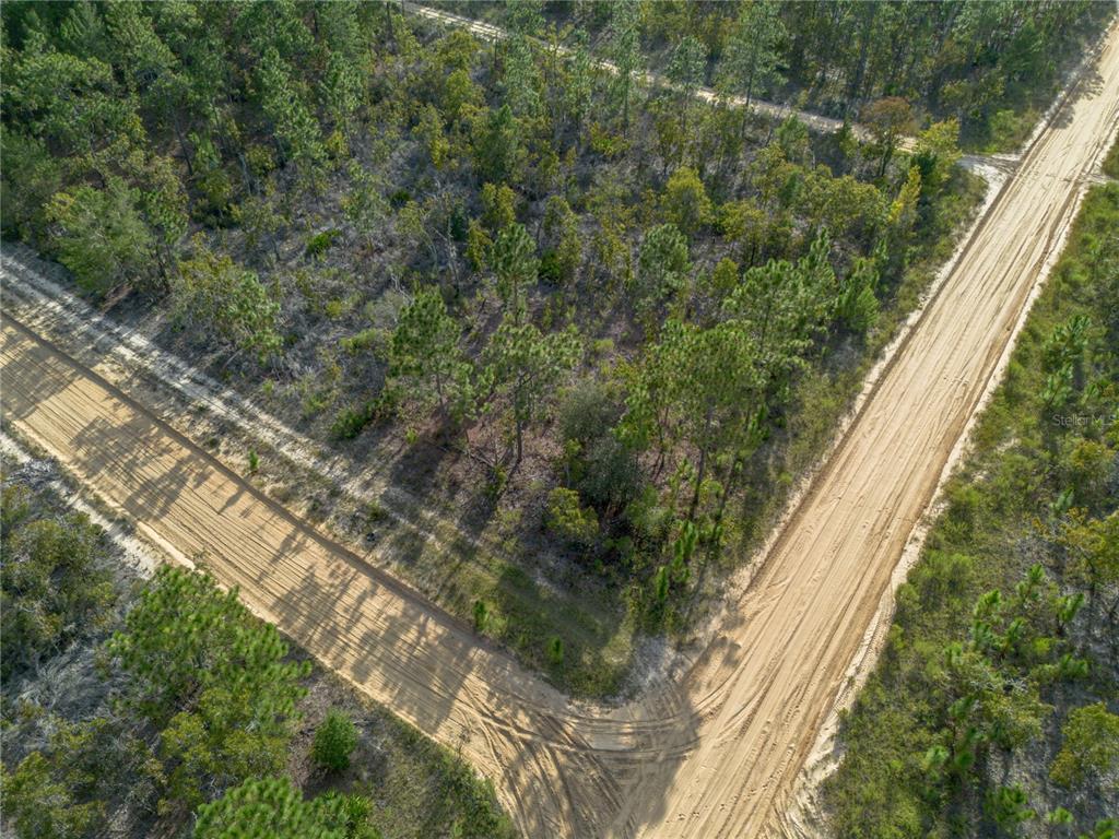 359 Dothan Street Interlachen, FL 32148 - Photo 5 of 8 a view of a yard