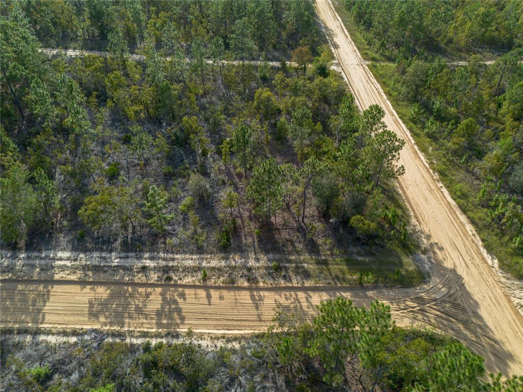 359 Dothan Street Interlachen, FL 32148 - Photo 6 of 8 a view of swimming pool with a yard