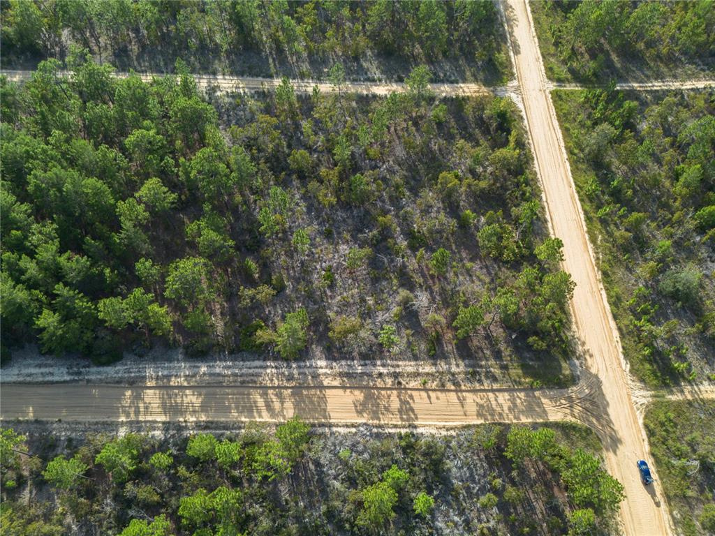 359 Dothan Street Interlachen, FL 32148 - Photo 7 of 8 a view of lake