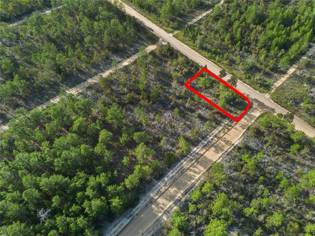 359 Dothan Street Interlachen, FL 32148 - Photo 8 of 8 a view of a yard with an outdoor space