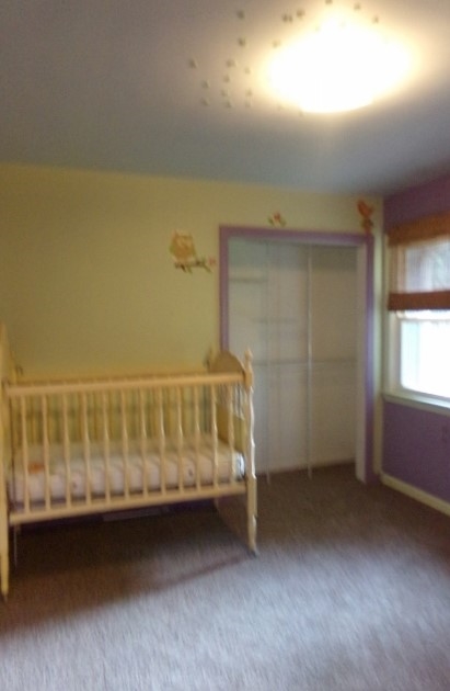 1025 Falkirk Road Alma, MI 48801 - Photo 13 of 19 1820082-12.JPG