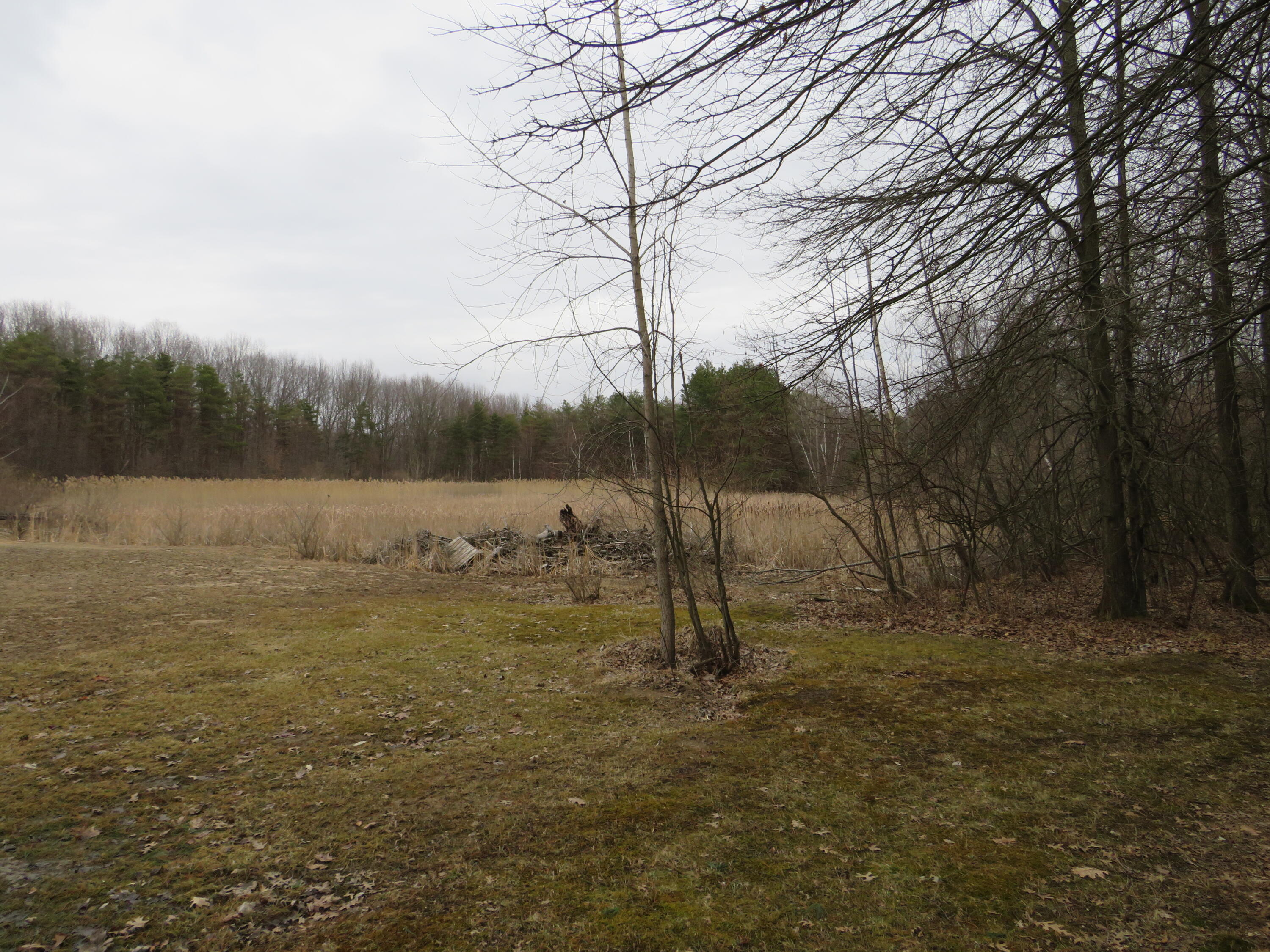9593 Oakley Road St. Charles, MI 48655 - Photo 53 of 86 IMG_3530