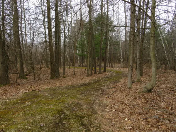 $849,000 | 9593 Oakley Road, St. Charles, MI 48655