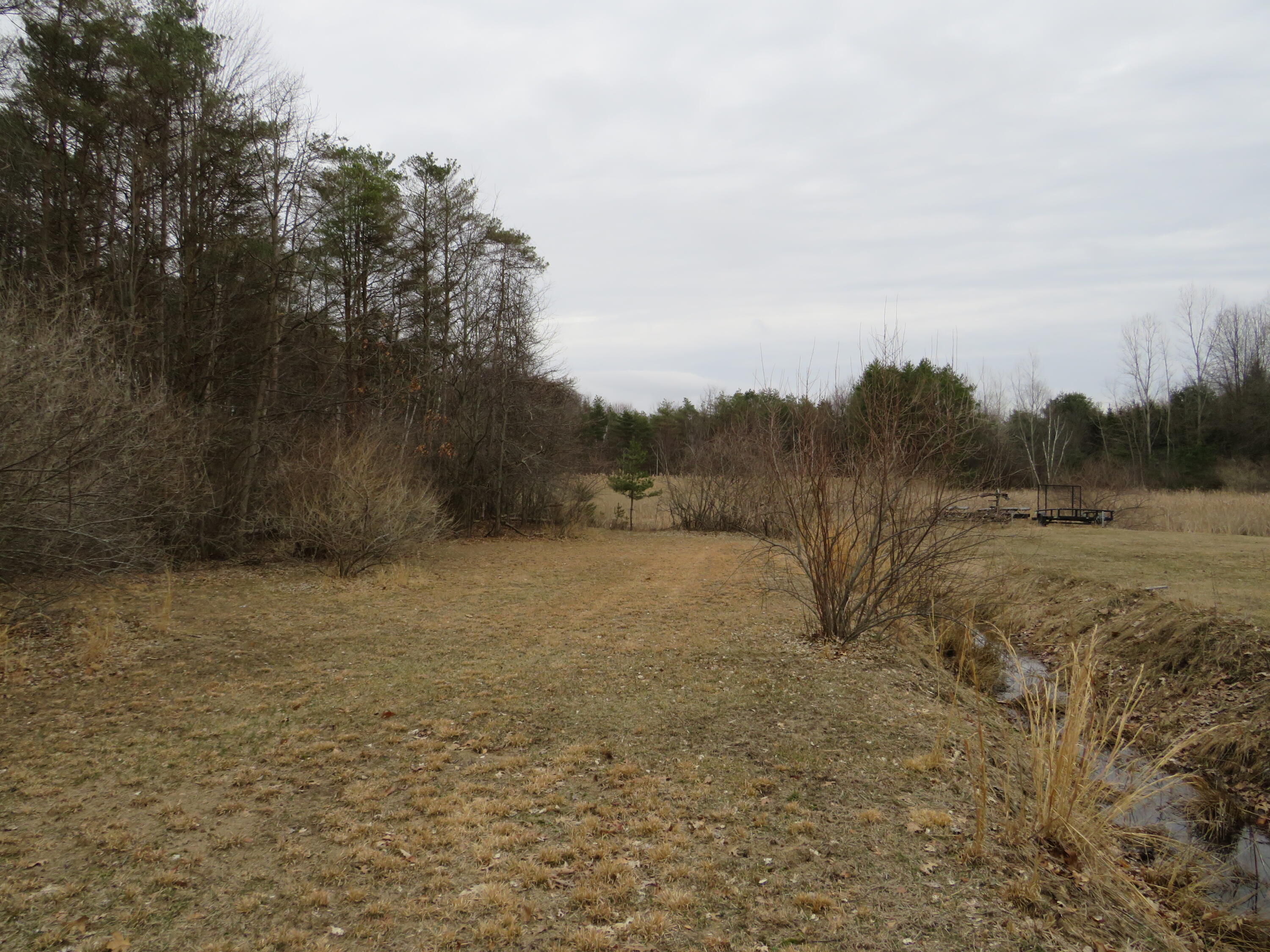 9593 Oakley Road St. Charles, MI 48655 - Photo 55 of 84 IMG_3534