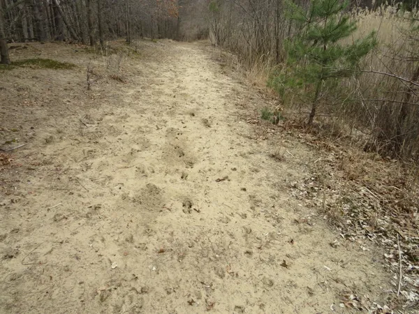 $849,000 | 9593 Oakley Road, St. Charles, MI 48655