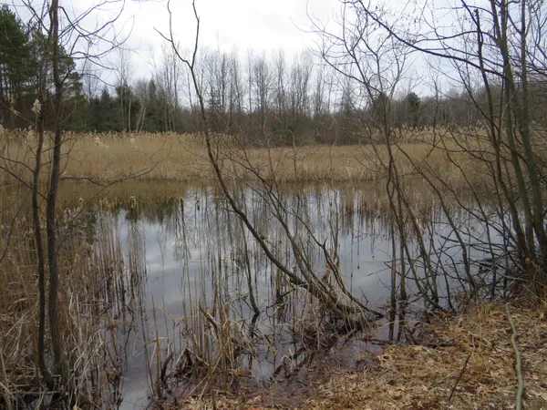 $849,000 | 9593 Oakley Road, St. Charles, MI 48655