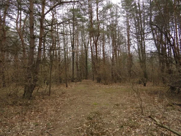 $849,000 | 9593 Oakley Road, St. Charles, MI 48655