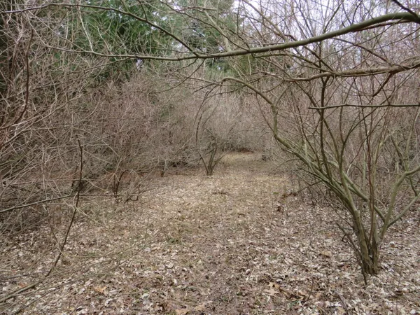 $849,000 | 9593 Oakley Road, St. Charles, MI 48655