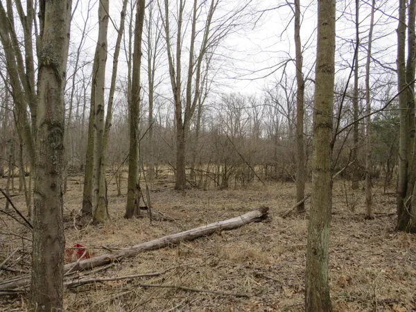 $849,000 | 9593 Oakley Road, St. Charles, MI 48655