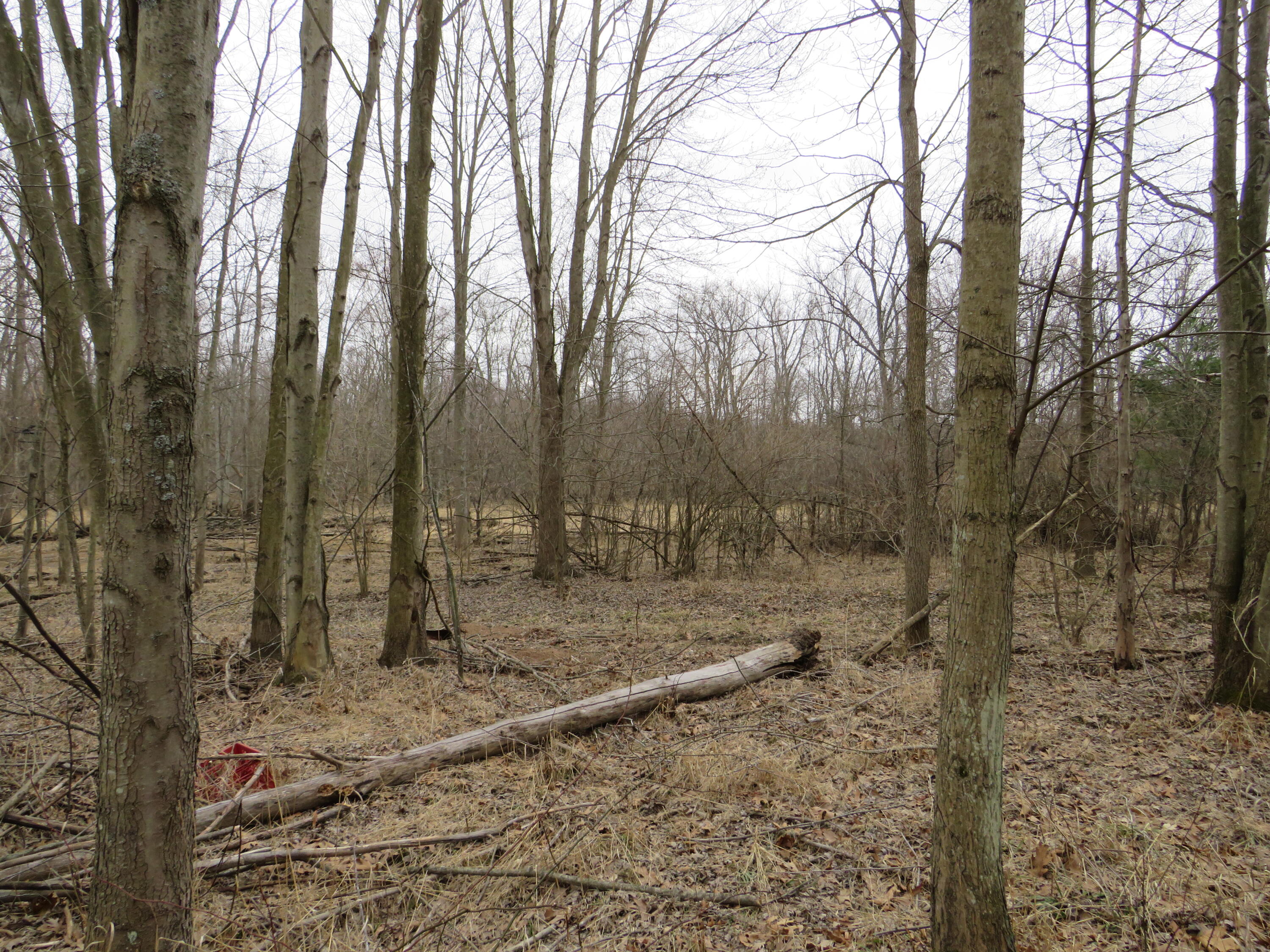 9593 Oakley Road St. Charles, MI 48655 - Photo 68 of 86 IMG_3570