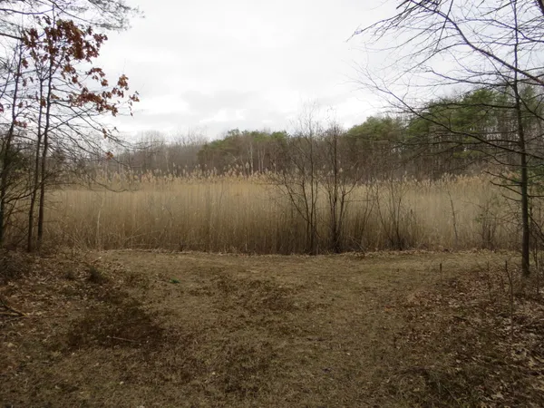 $849,000 | 9593 Oakley Road, St. Charles, MI 48655