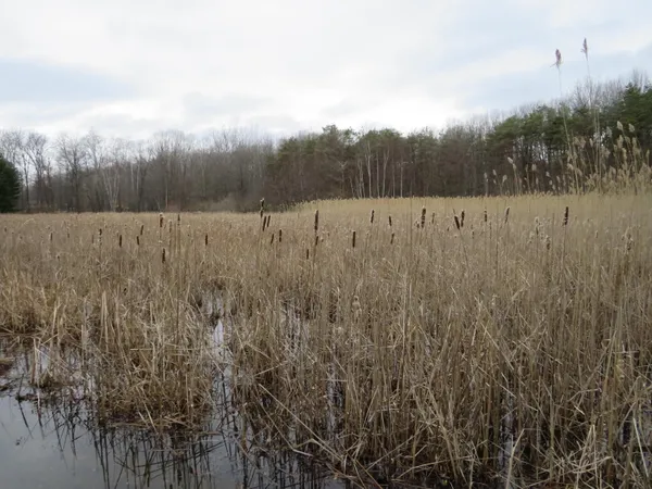 $849,000 | 9593 Oakley Road, St. Charles, MI 48655