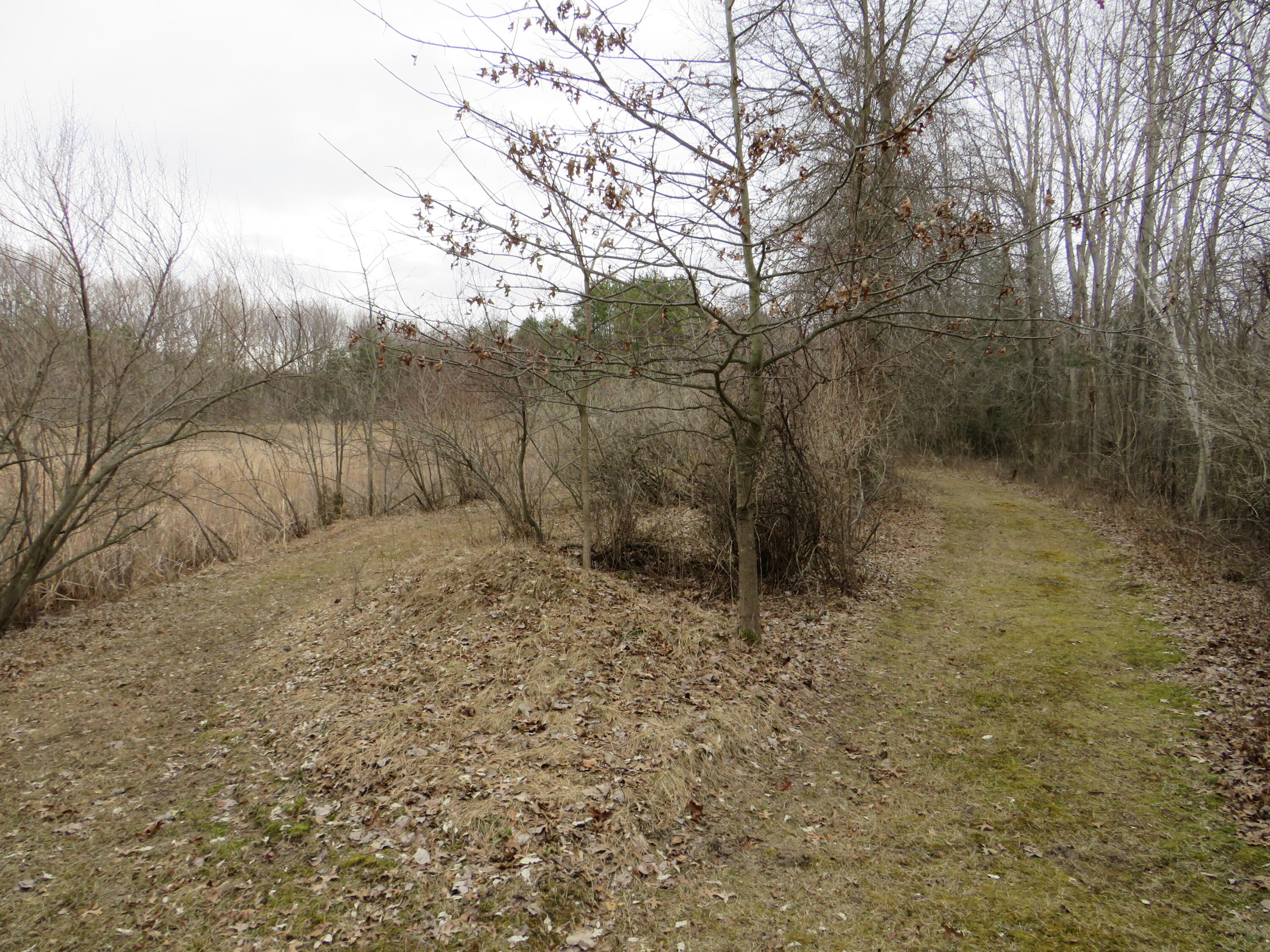 9593 Oakley Road St. Charles, MI 48655 - Photo 73 of 84 IMG_3587