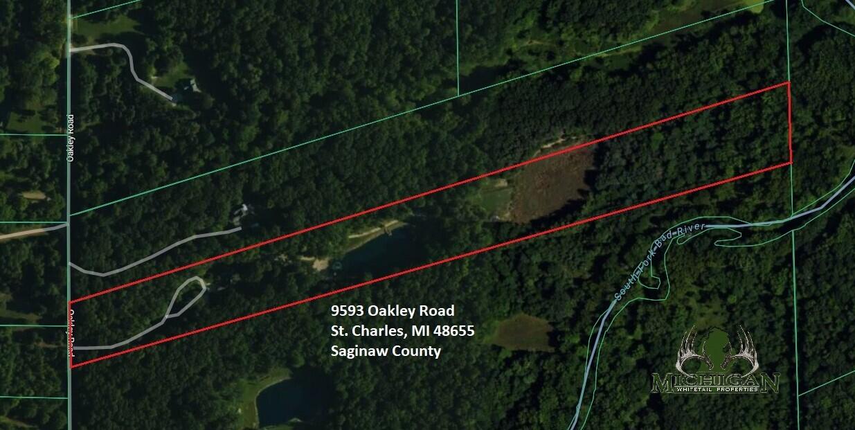 9593 Oakley Road St. Charles, MI 48655 - Photo 85 of 86 Aerial4