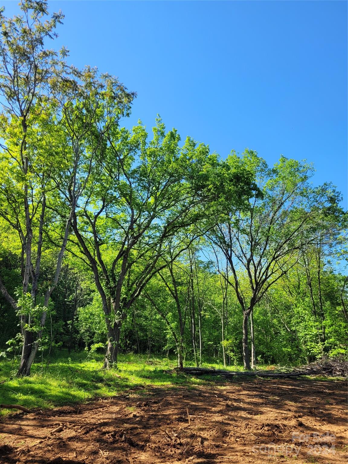 Lot 30 John Morgan Road, Unit 30 Gold Hill, NC 28071 - Photo 5 of 17
