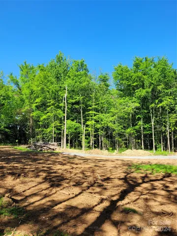 $125,000 | Lot 30 John Morgan Road, Unit 30, Gold Hill, NC 28071