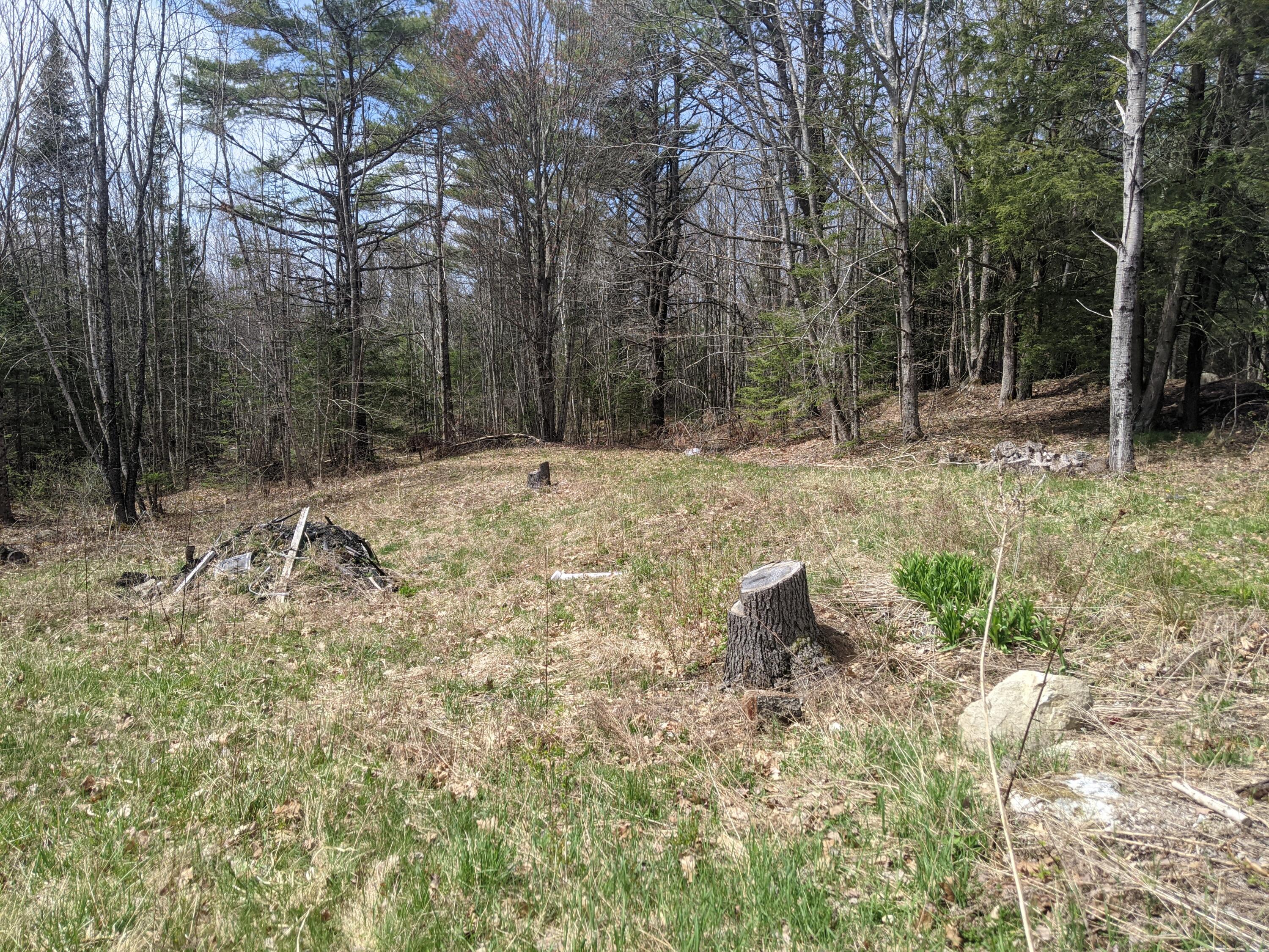192 Lower Cross Road Nobleboro, ME 04555 - Photo 3 of 6 PXL_20210428_152049332
