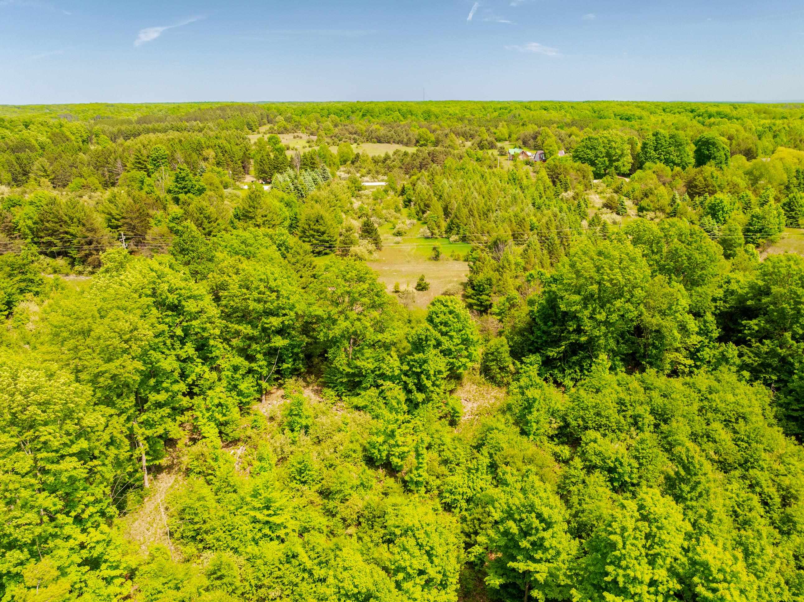 Tbd Traverse Road Thompsonville, MI 49683 - Photo 13 of 40