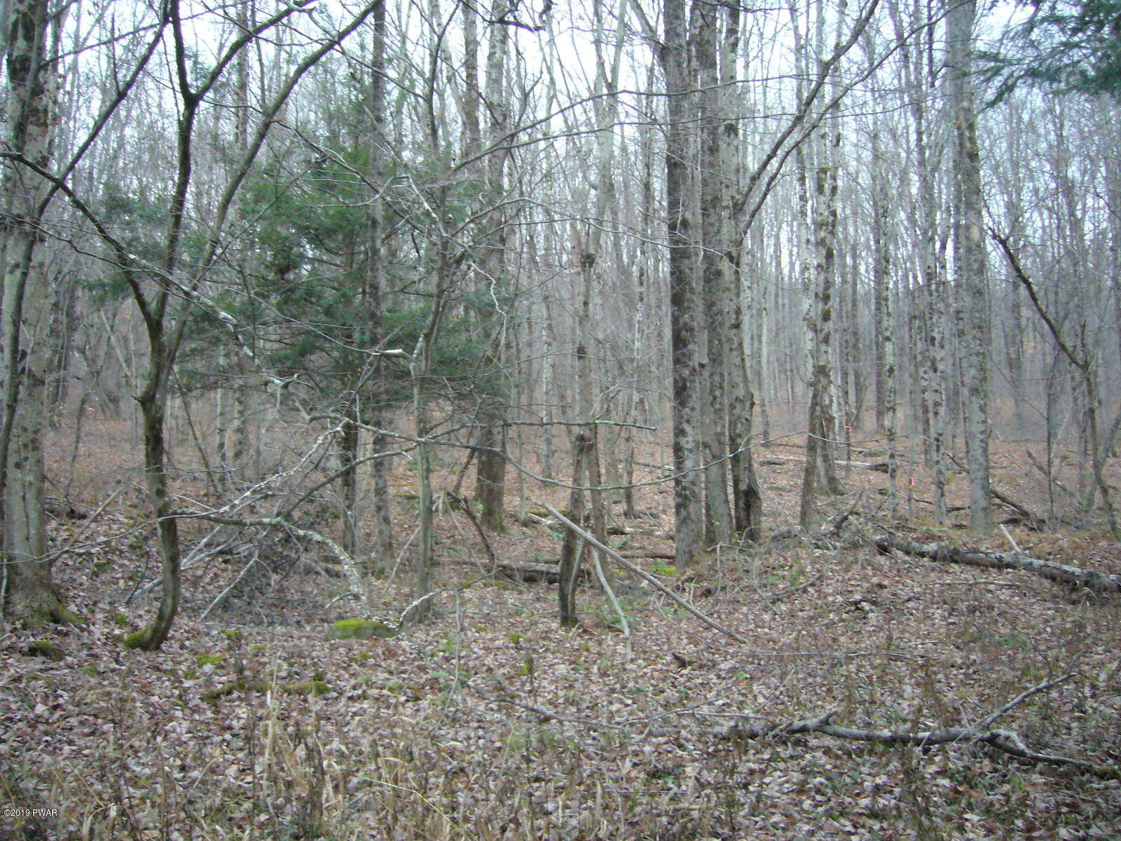 Simpson Road Lakewood, PA 18439 - Photo 8 of 14