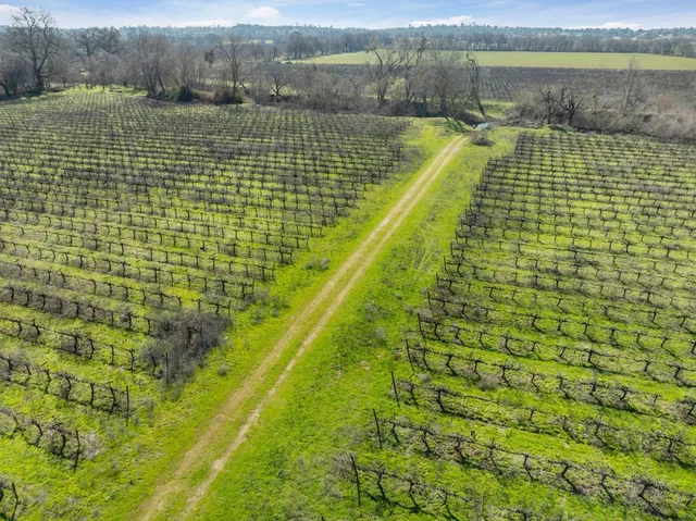 a view of swimming pool from a yard
