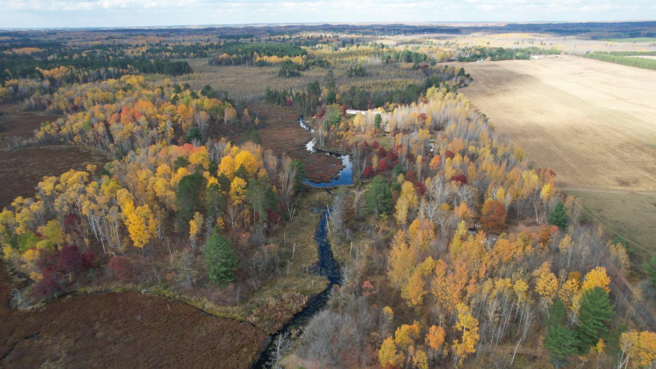 15-acres Mitchell Road Harshaw, WI 54529 - Photo 2 of 49 Gallery Image 2