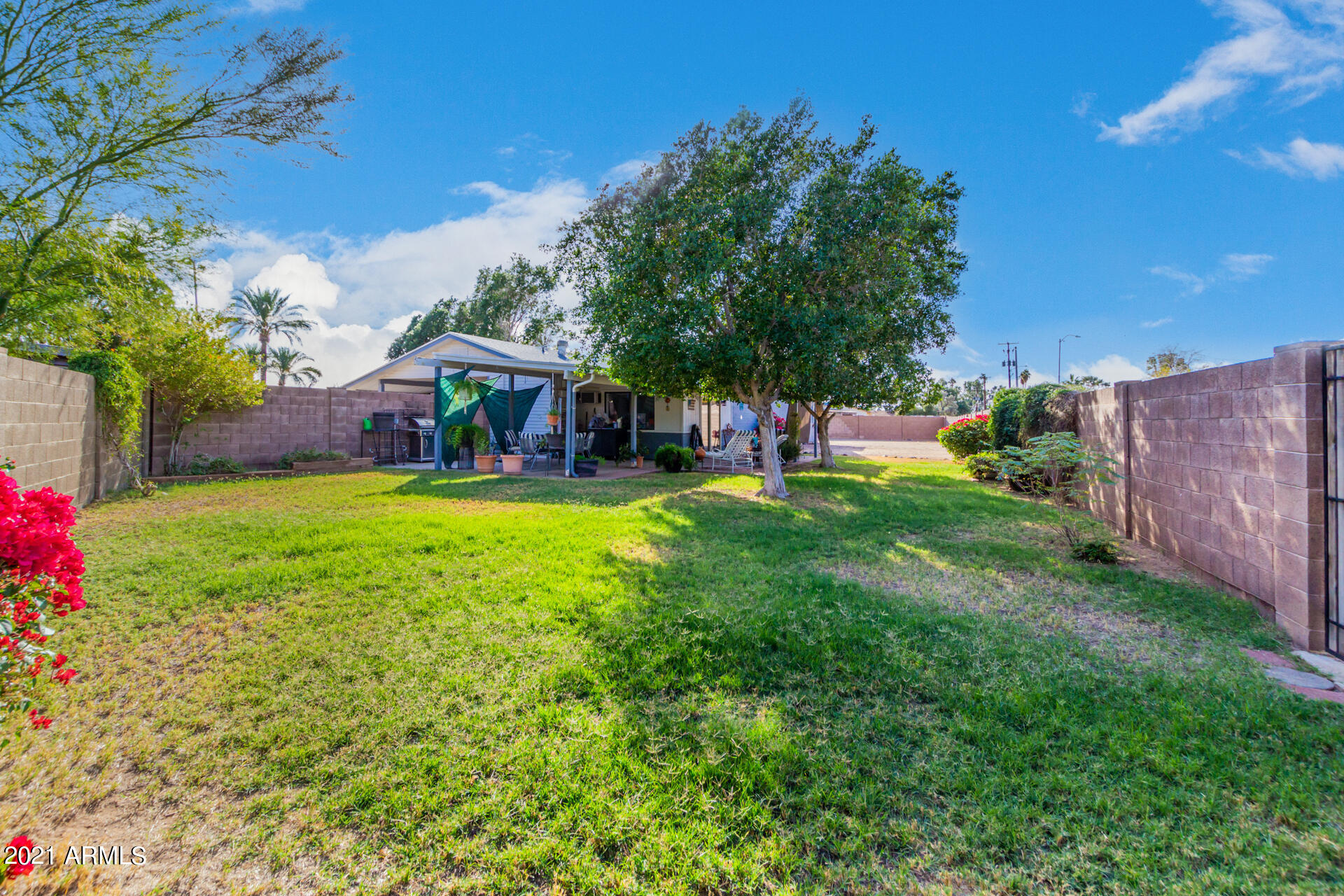 2325 West Charter Oak Road Phoenix, AZ 85029 - Photo 26 of 27 Backyard