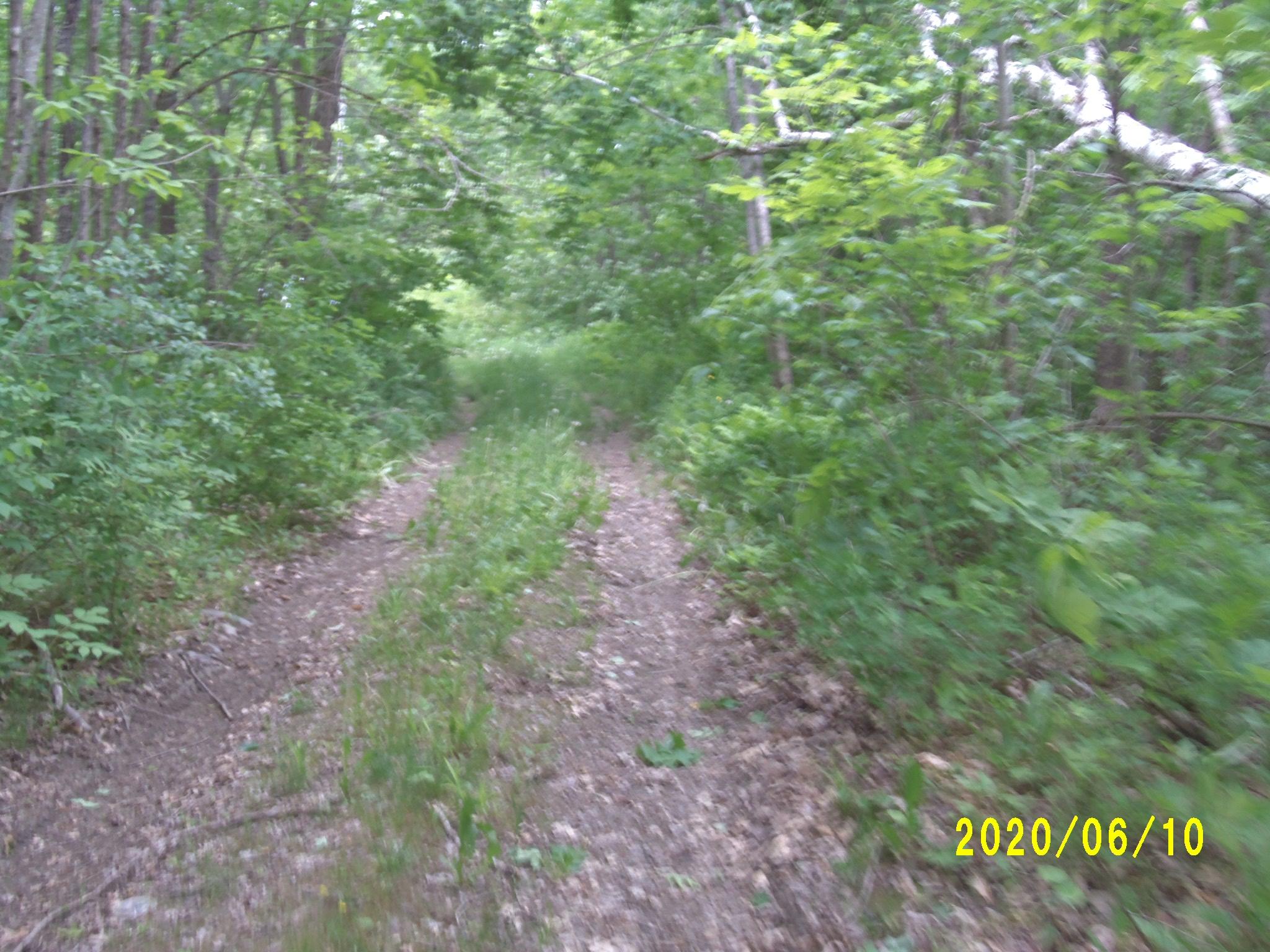 0 Palmer Meadow Road Dixmont, ME 04932 - Photo 9 of 9 125_4624