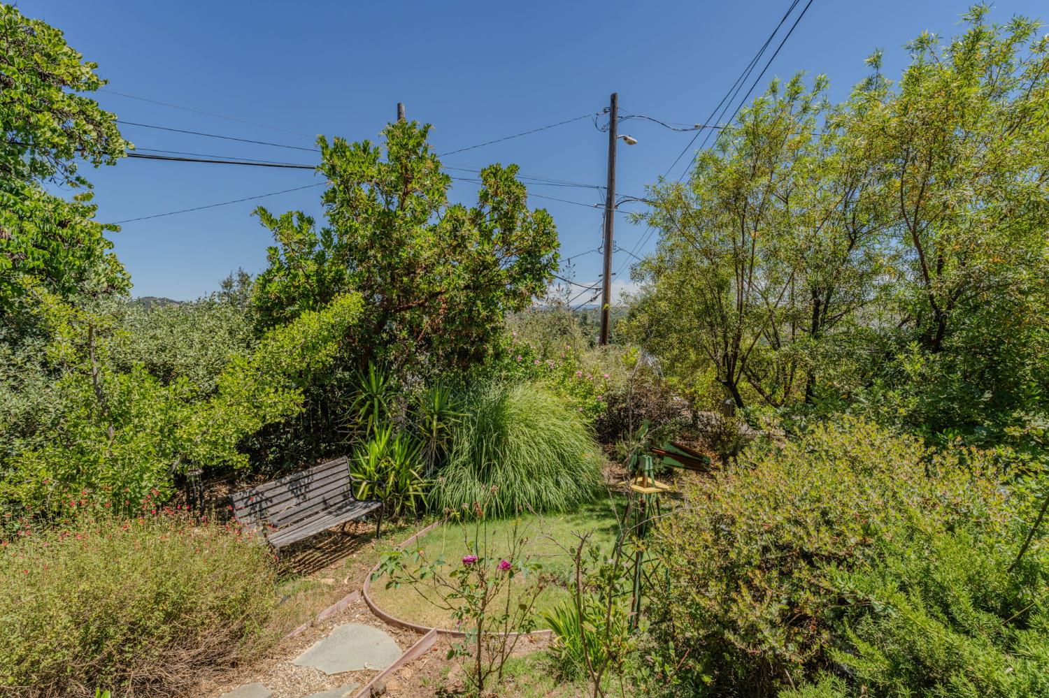 419 Rex Avenue Jackson, CA 95642 - Photo 73 of 90