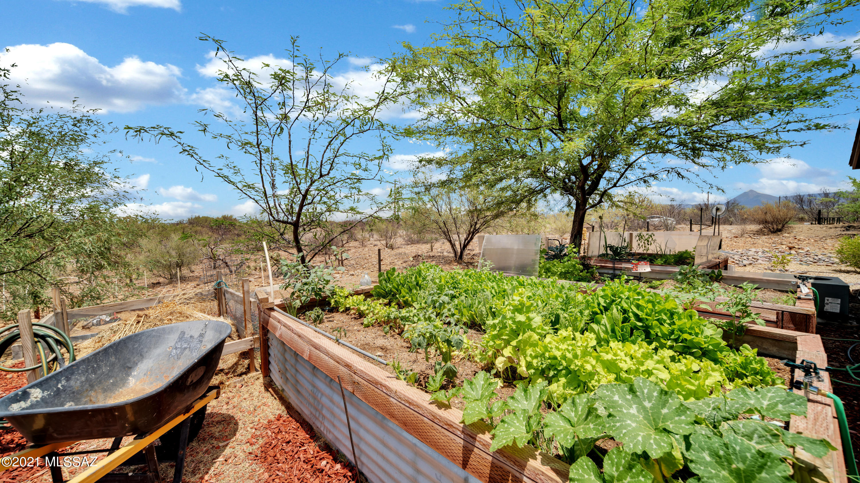 1857 Circulo Glorieta Rio Rico, AZ 85648 - Photo 21 of 39