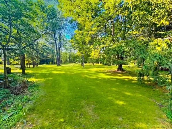 a big yard with trees in the background