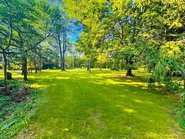 a big yard with trees in the background