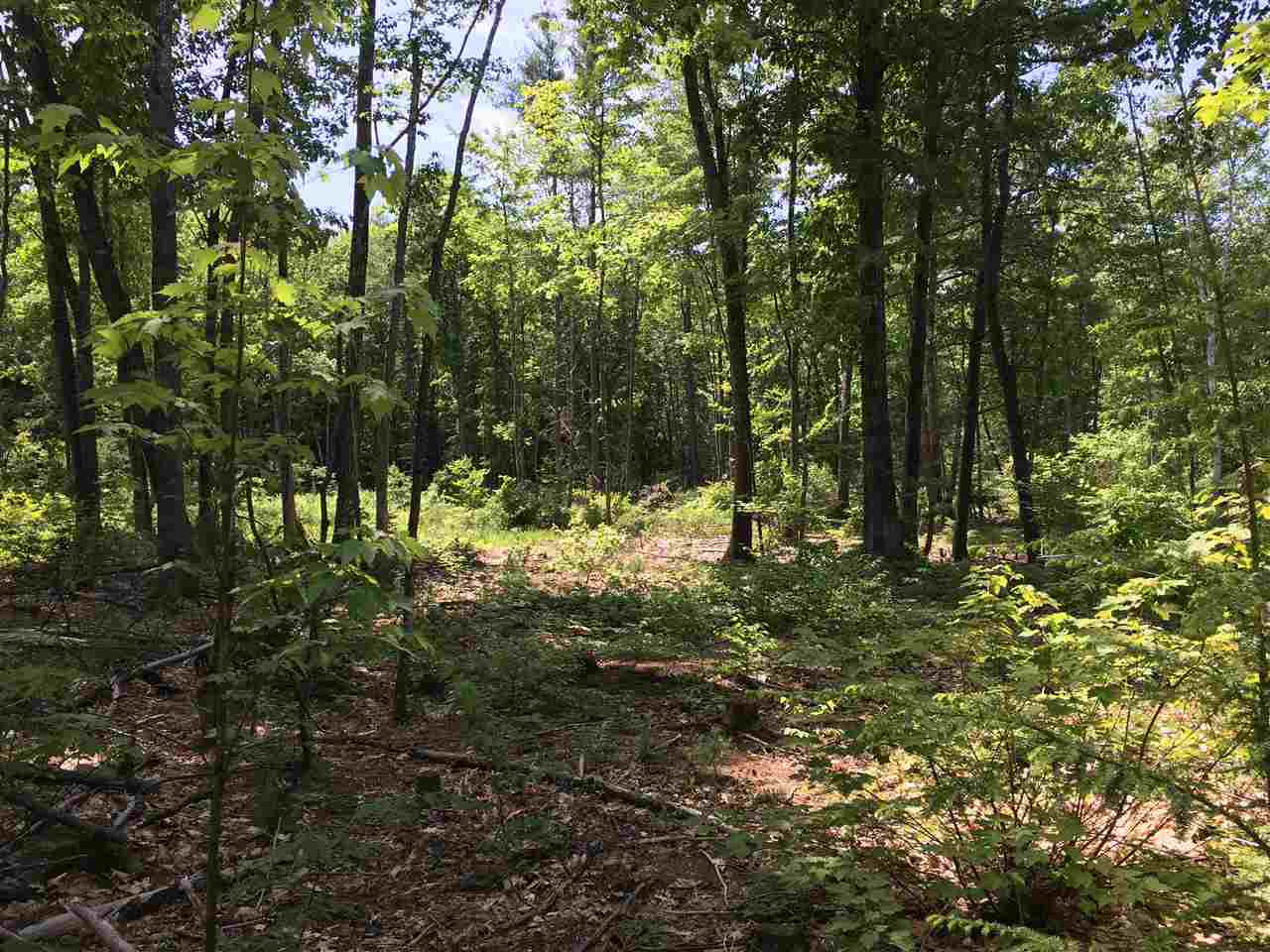 Lot 3-3 Huckins Lane, Unit 33 Rochester, NH 03839 - Photo 6 of 7 Gallery Image 6