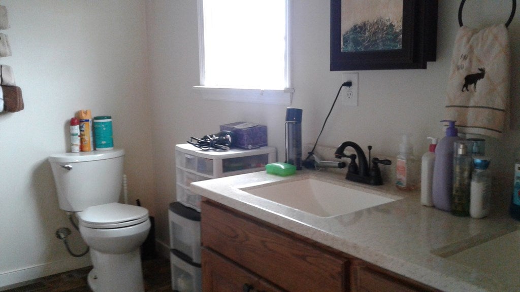 232 Apple Blossom Road Farmville, VA 23901 - Photo 11 of 22 Gallery Image 11