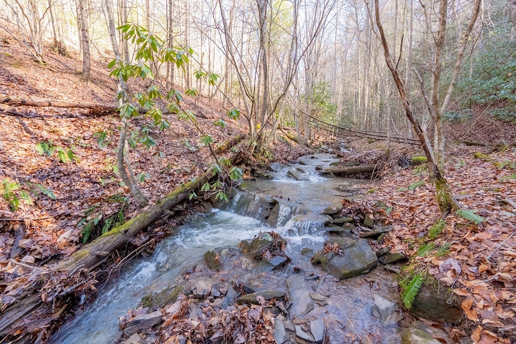 485 Grouse Ridge Road Max Meadows, VA 24360 - Photo 55 of 76 Gallery Image 55